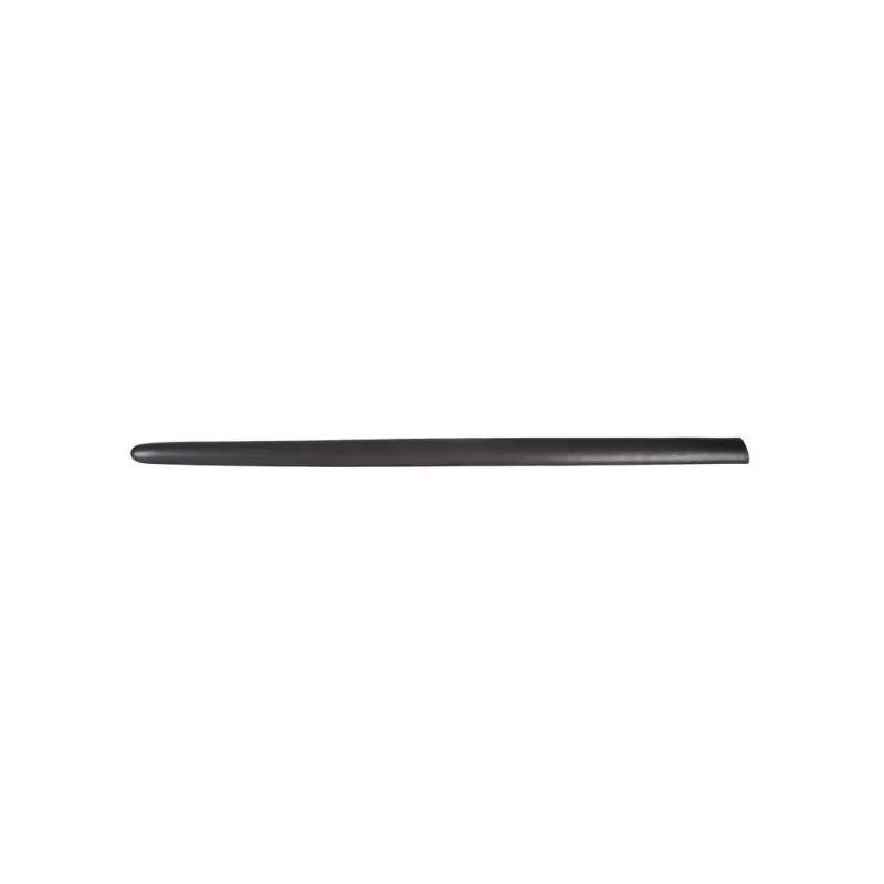Baguette et bande protectrice, aile avant droit BLIC 5703-04-5507572PP