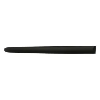 Baguette et bande protectrice, aile arrière gauche BLIC 5703-04-5507573P