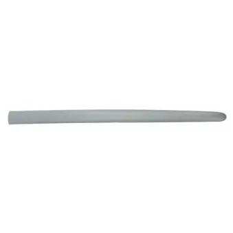 Baguette et bande protectrice, aile avant gauche BLIC 5703-04-5507575P