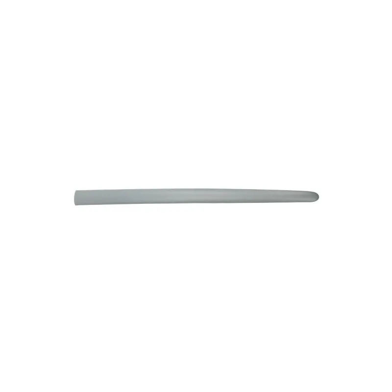 Baguette et bande protectrice, aile avant gauche BLIC 5703-04-5507575P