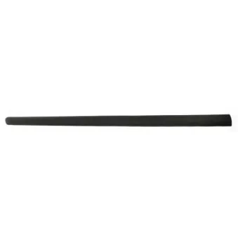 Baguette et bande protectrice, aile avant gauche BLIC 5703-04-5514571P
