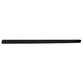 Baguette et bande protectrice, aile avant droit BLIC 5703-04-5514572P
