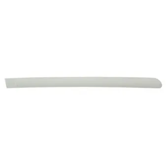 Baguette et bande protectrice, aile arrière droit BLIC 5703-04-5514578P