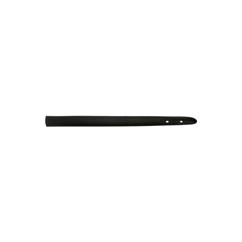 Baguette et bande protectrice, aile avant gauche BLIC 5703-04-6032571P