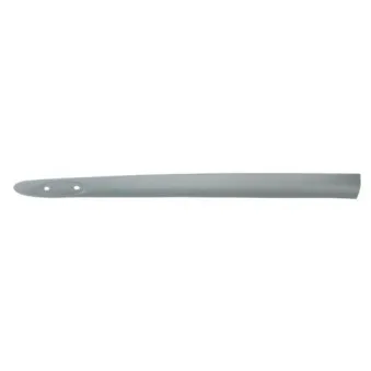 Baguette et bande protectrice, aile avant gauche BLIC 5703-04-6032575P