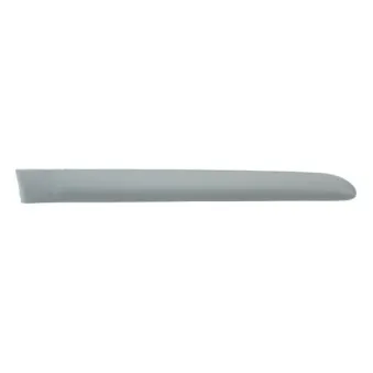 Baguette et bande protectrice, aile arrière droit BLIC 5703-04-6032578P
