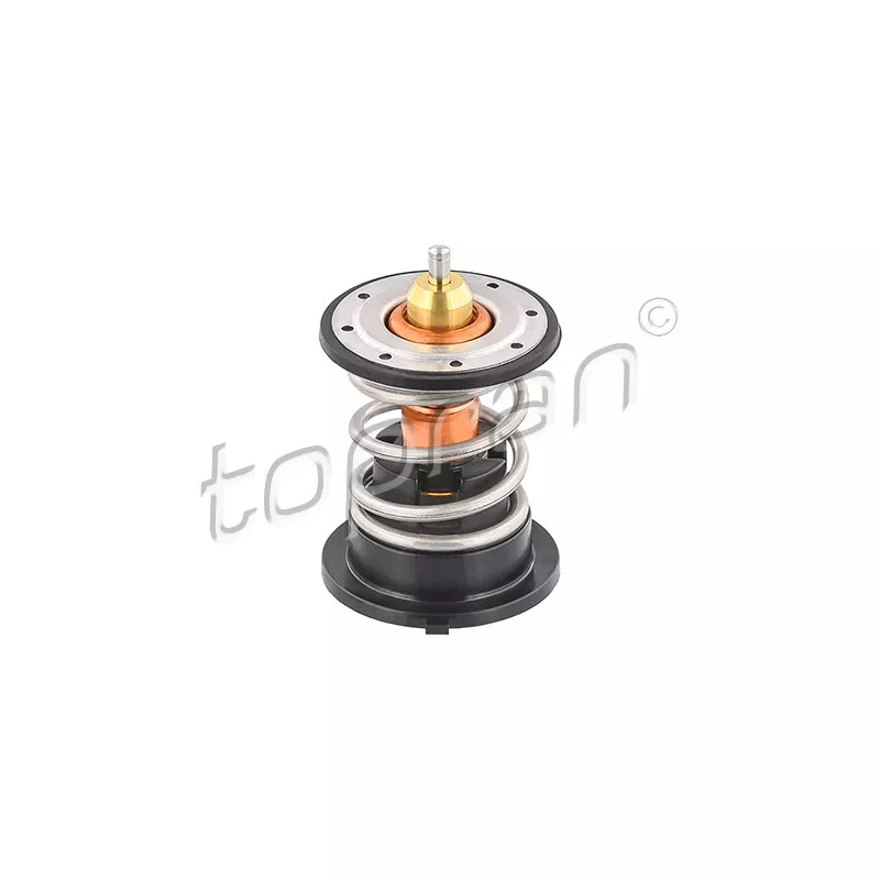 Thermostat d'eau TOPRAN 502 662