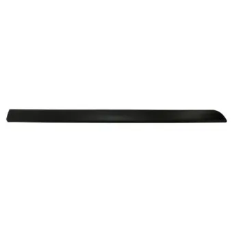 Baguette et bande protectrice, aile avant gauche BLIC 5703-04-6042571P
