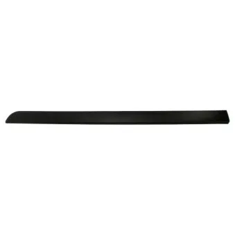 Baguette et bande protectrice, aile avant droit BLIC 5703-04-6042572P