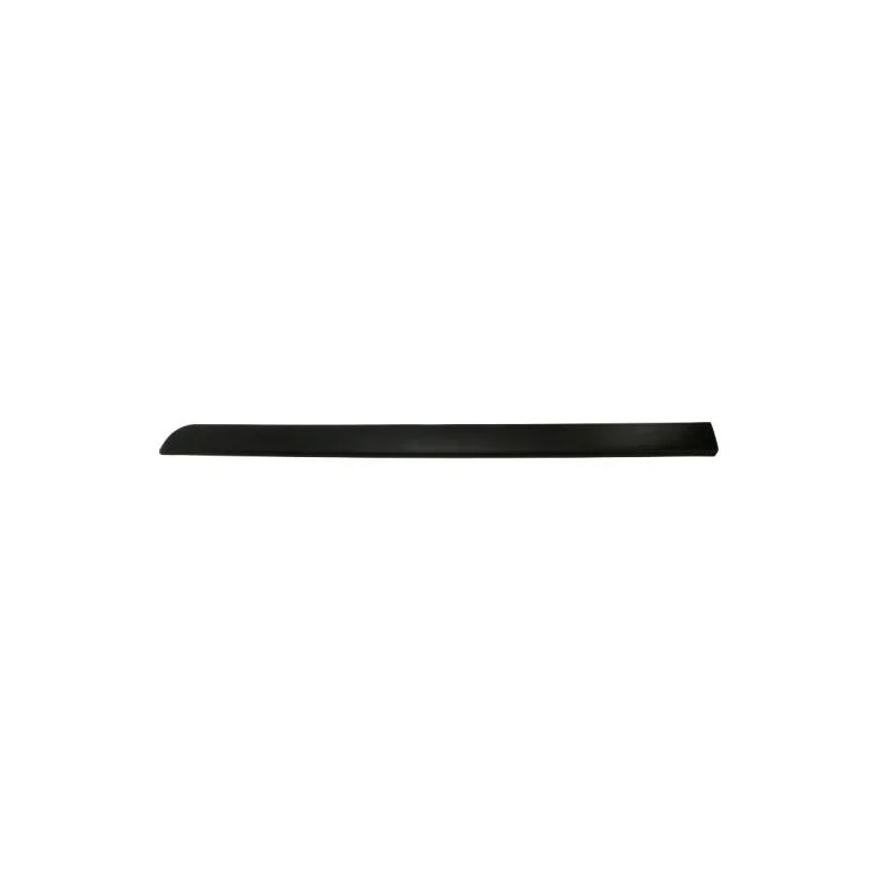 Baguette et bande protectrice, aile avant droit BLIC 5703-04-6042572P