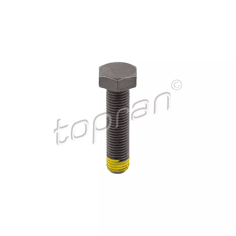 Boulon de volant moteur TOPRAN 502 756