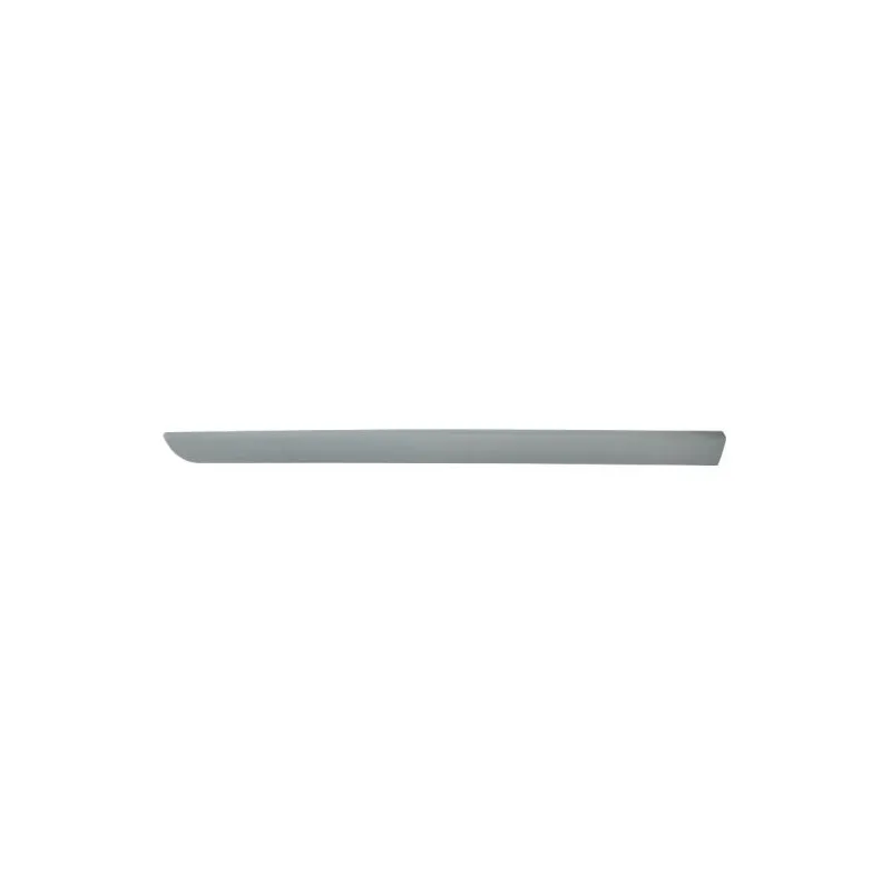 Baguette et bande protectrice, aile avant gauche BLIC 5703-04-6042575P