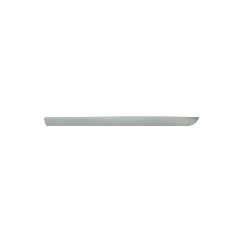 Baguette et bande protectrice, aile avant droit BLIC 5703-04-6042576P