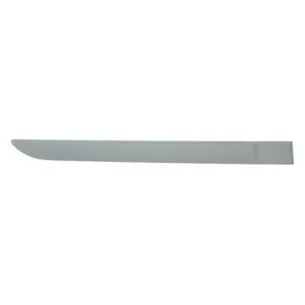 Baguette et bande protectrice, aile arrière droit BLIC 5703-04-6042578P