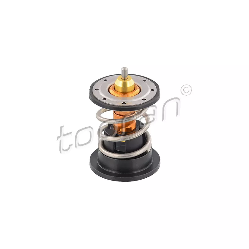 Thermostat d'eau TOPRAN 503 055