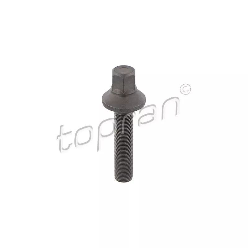 Boulon de poulie TOPRAN 503 130