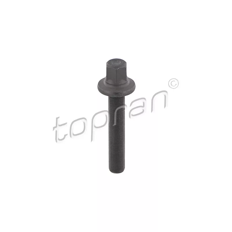 Boulon de poulie TOPRAN 503 131