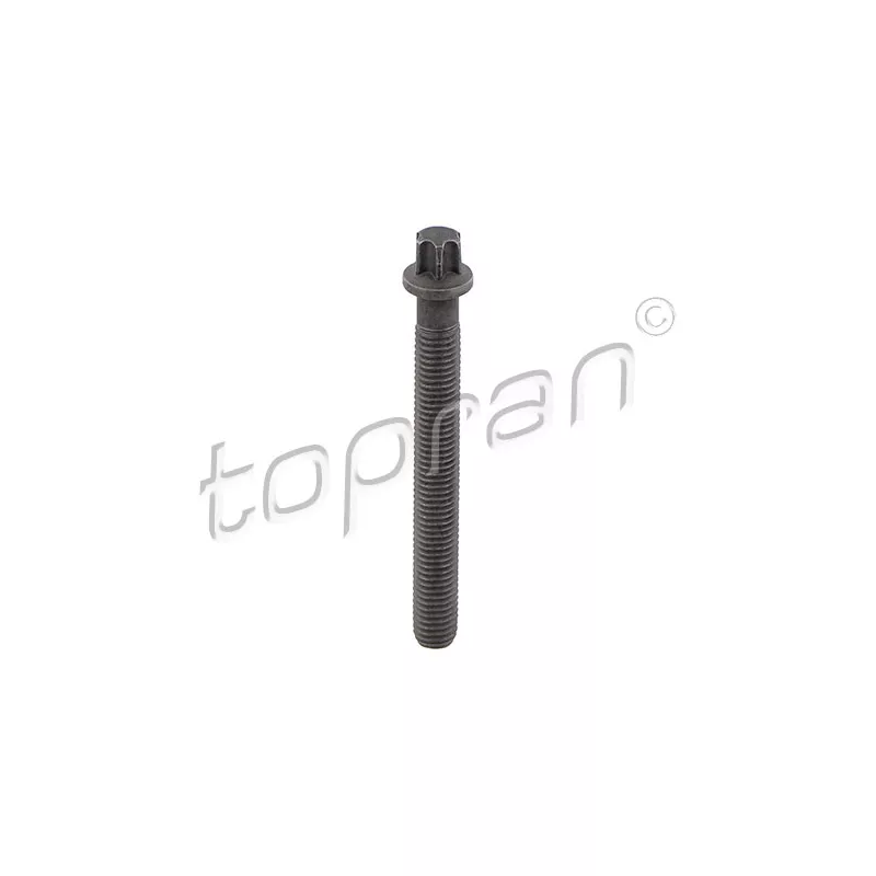 Boulon de poulie TOPRAN 503 132
