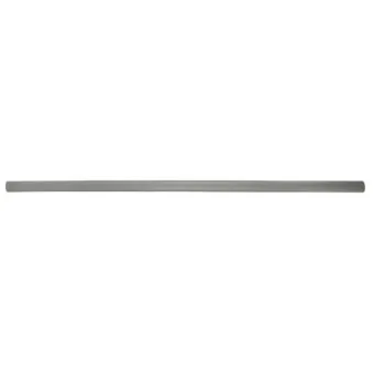 Baguette et bande protectrice, aile avant gauche BLIC 5703-04-9504575P