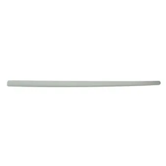 Baguette et bande protectrice, aile avant droit BLIC 5703-04-9505576P