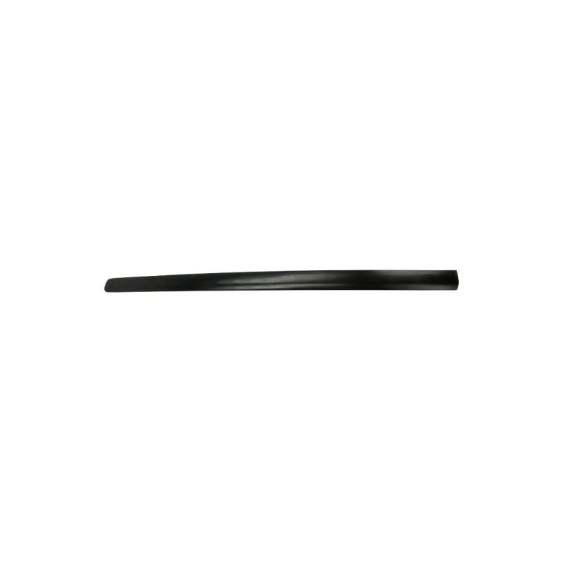 Baguette et bande protectrice, porte avant droit BLIC 5703-04-9506572P