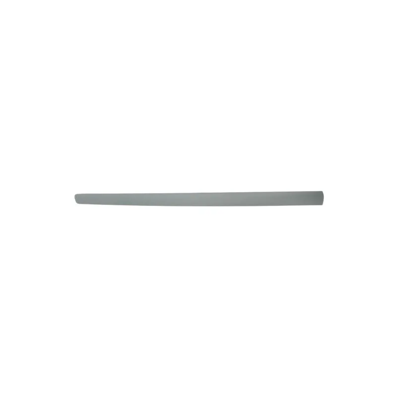 Baguette et bande protectrice, aile avant gauche BLIC 5703-04-9506575P