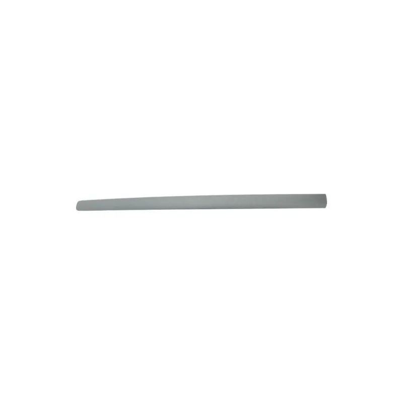Baguette et bande protectrice, aile avant droit BLIC 5703-04-9506576P
