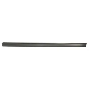 Baguette et bande protectrice, aile avant droit BLIC 5703-04-9522474P