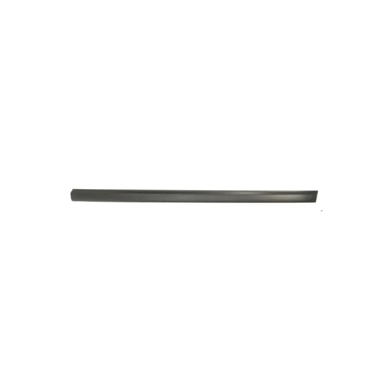 Baguette et bande protectrice, aile avant droit BLIC 5703-04-9522474P