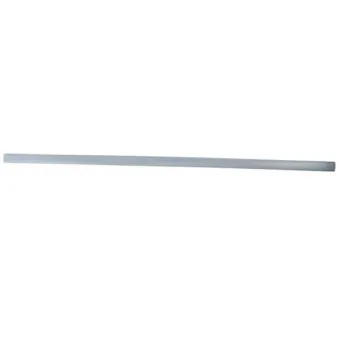 Baguette et bande protectrice, aile avant droit BLIC 5703-04-9523576PP