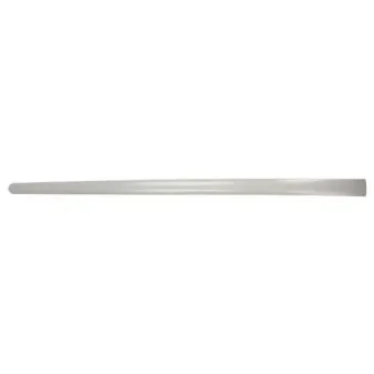 Baguette et bande protectrice, aile avant droit BLIC 5703-04-9524576P