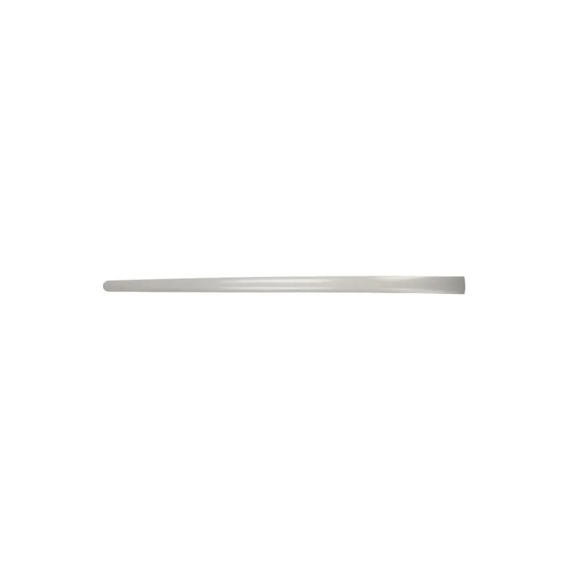 Baguette et bande protectrice, aile avant droit BLIC 5703-04-9524576P