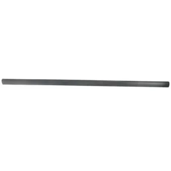 Baguette et bande protectrice, aile avant droit BLIC 5703-04-9539572P