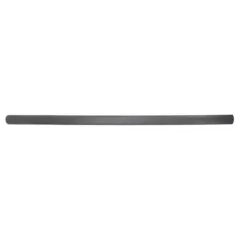 Baguette et bande protectrice, aile avant droit BLIC 5703-04-9545572P