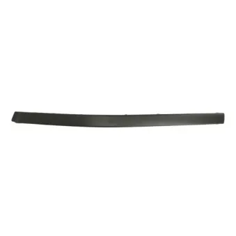 Baguette et bande protectrice, pare-chocs avant gauche BLIC 5703-05-0065921P