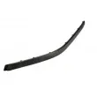 Baguette et bande protectrice, pare-chocs avant droit BLIC 5703-05-0065922P - Visuel 1