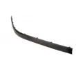 Baguette et bande protectrice, pare-chocs avant droit BLIC 5703-05-0065922P - Visuel 2