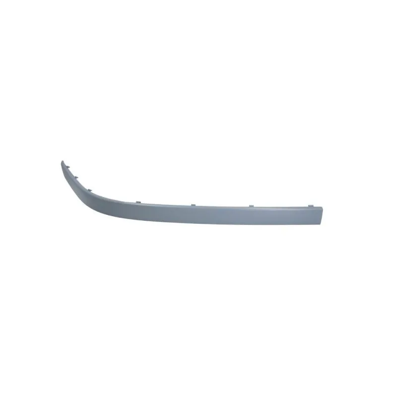 Baguette et bande protectrice, pare-chocs avant droit BLIC 5703-05-0065930PQ