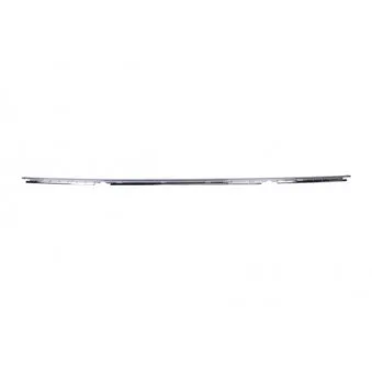 Baguette et bande protectrice, pare-chocs BLIC 5703-05-0065970P