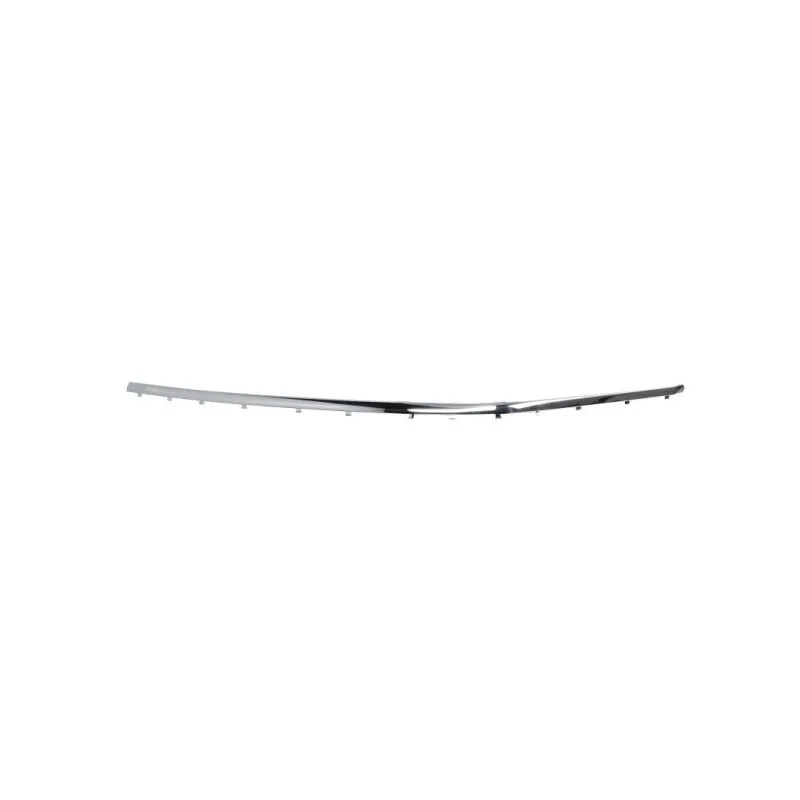 Baguette et bande protectrice, pare-chocs avant gauche BLIC 5703-05-0076921PP