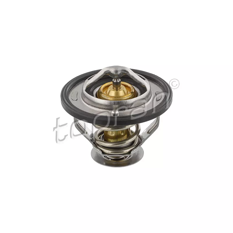 Thermostat d'eau TOPRAN 630 305