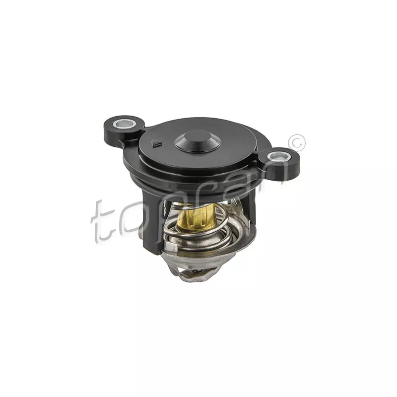 Thermostat, liquide de refroidissement TOPRAN 630 313