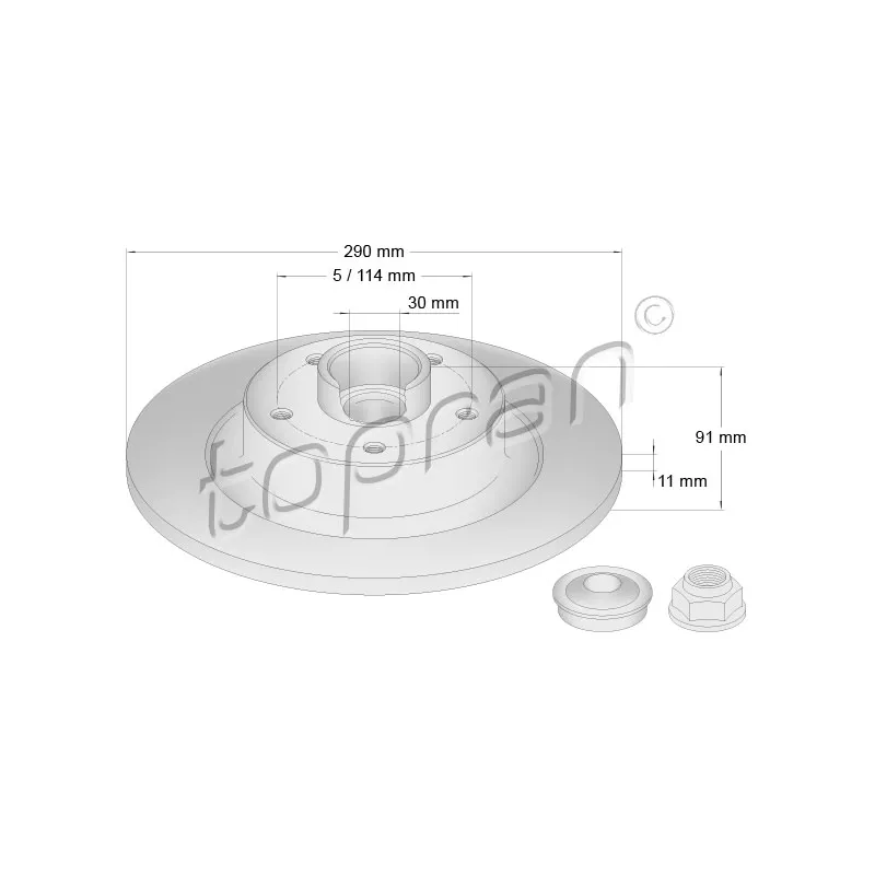 Jeu de 2 disques de frein arrière TOPRAN 631 169
