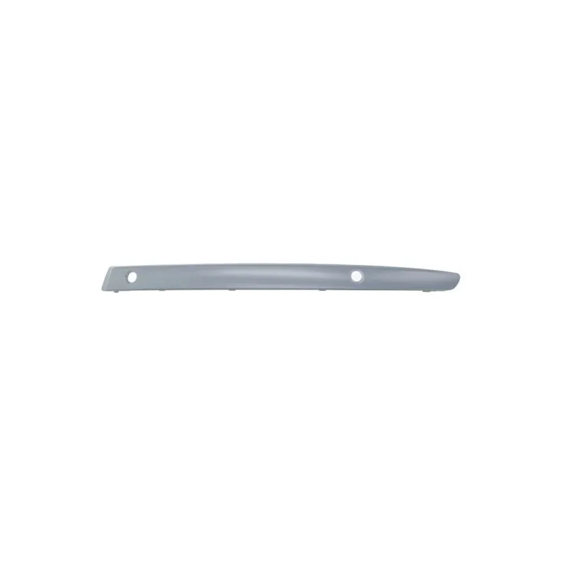 Baguette et bande protectrice, pare-chocs avant gauche BLIC 5703-05-0085925Q