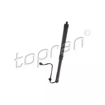 Moteur électrique, hayon TOPRAN