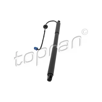 Moteur électrique, hayon TOPRAN