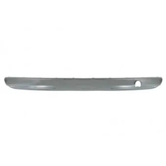 Baguette et bande protectrice, pare-chocs BLIC 5703-05-2013973Q