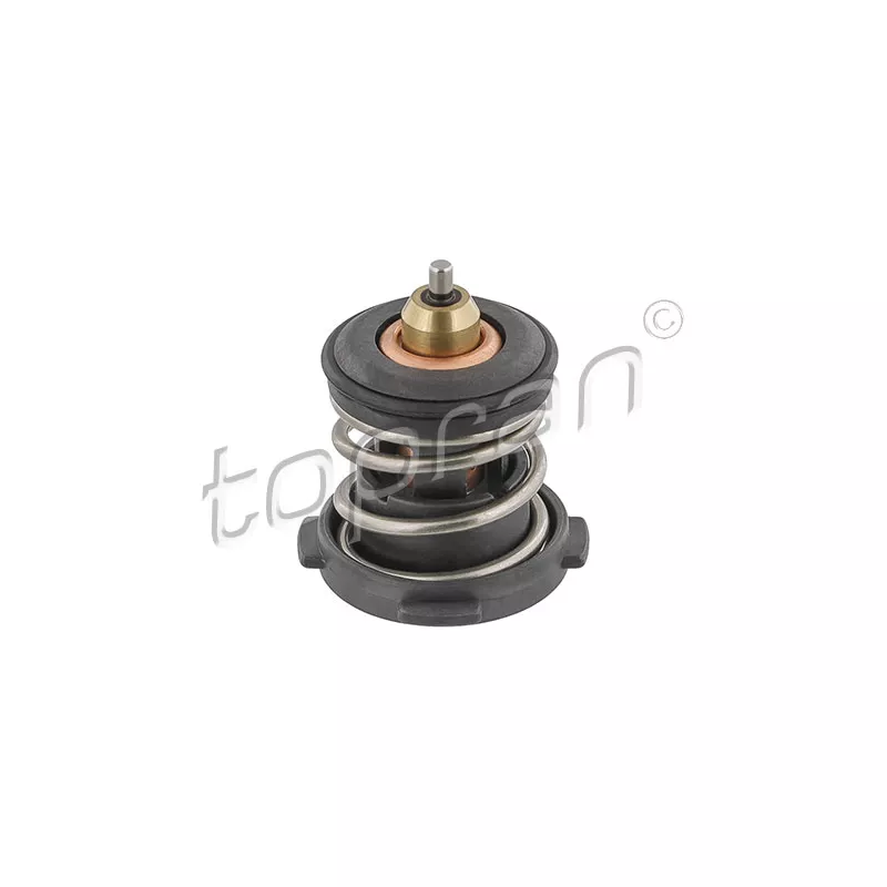 Thermostat d'eau TOPRAN 638 754