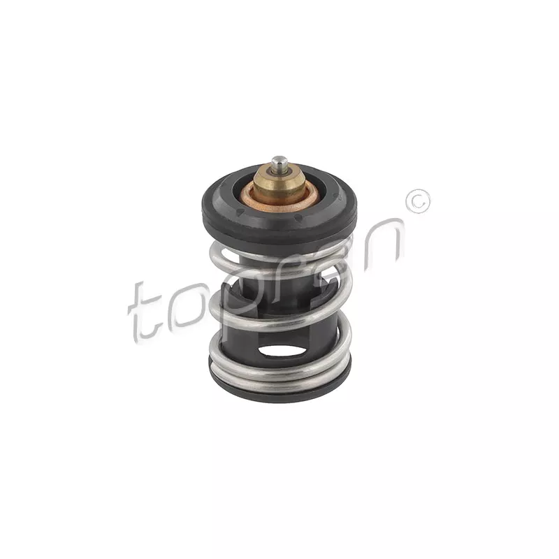 Thermostat d'eau TOPRAN 638 755