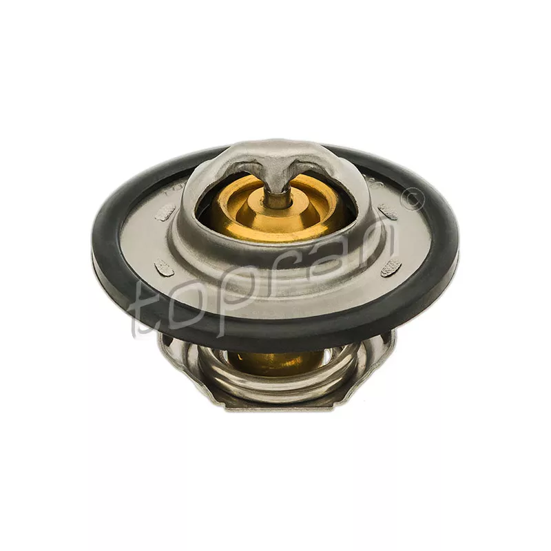 Thermostat d'eau TOPRAN 700 171